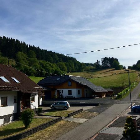 Ferienwohnung Am Nuerburgring/Wintersport Arft Acht Zewnętrze zdjęcie