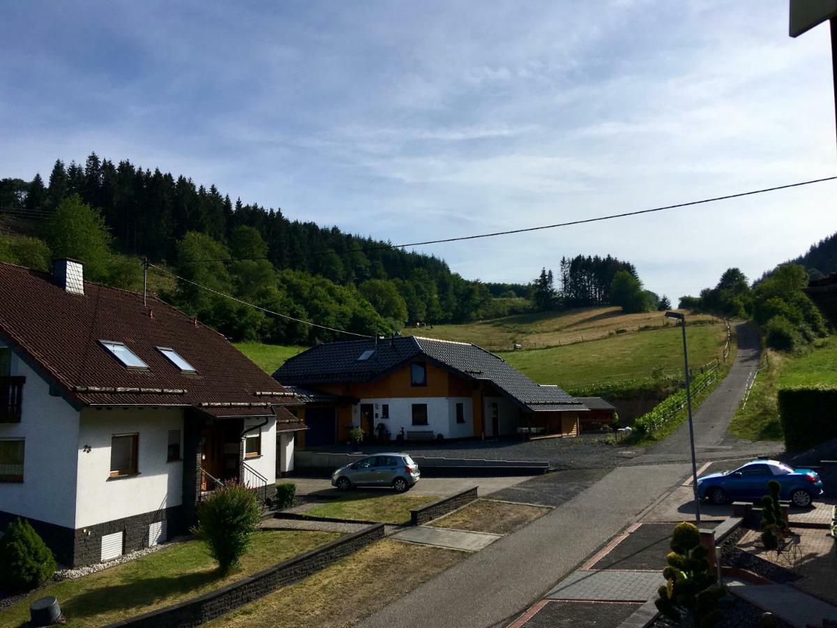 Ferienwohnung Am Nuerburgring/Wintersport Arft Acht Zewnętrze zdjęcie