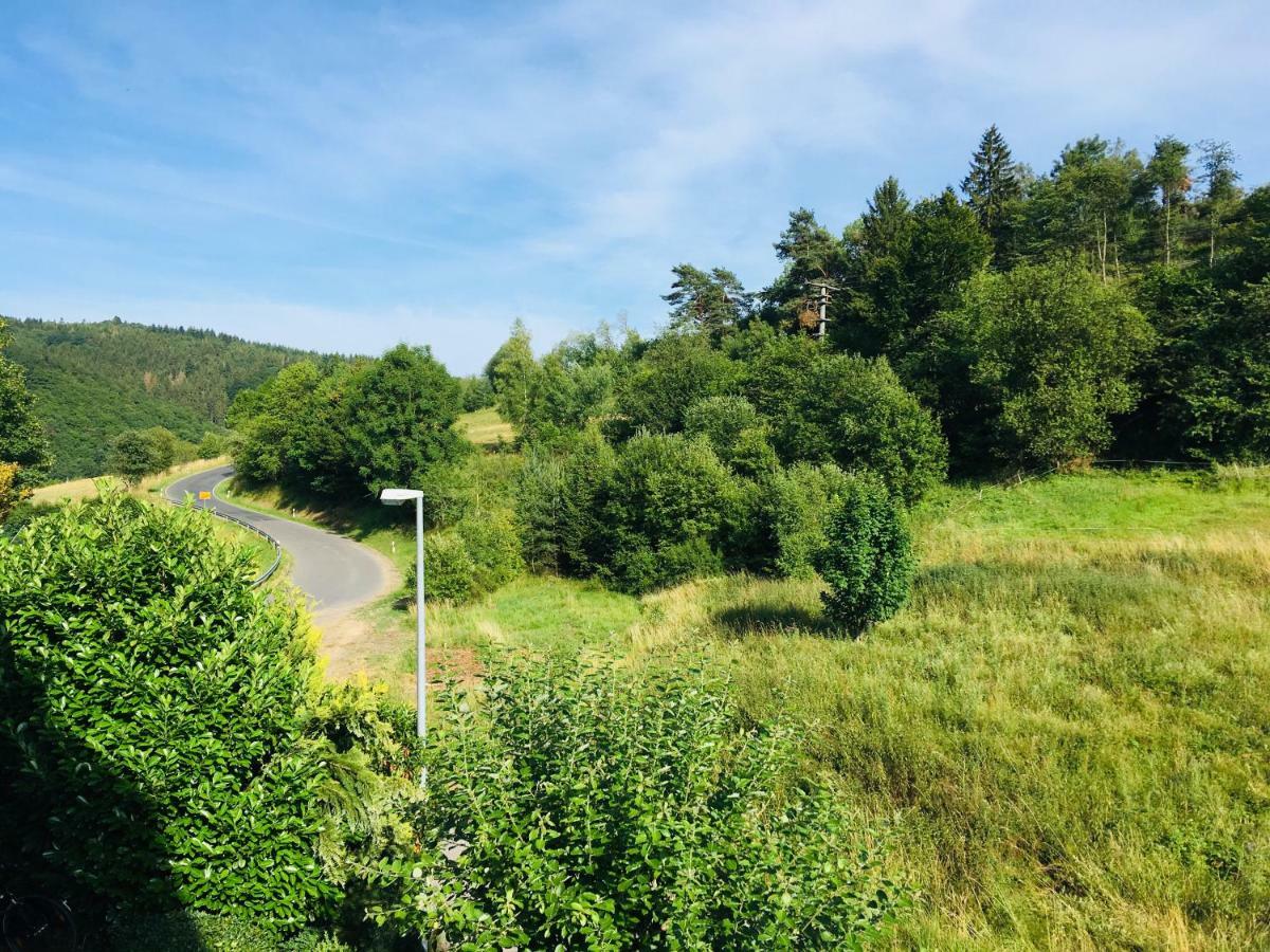 Ferienwohnung Am Nuerburgring/Wintersport Arft Acht Zewnętrze zdjęcie